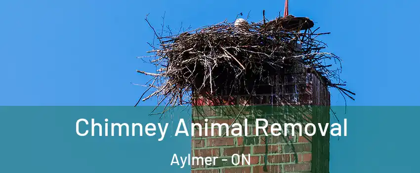 Chimney Animal Removal Aylmer - ON