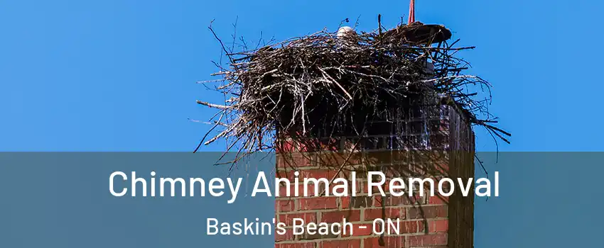 Chimney Animal Removal Baskin's Beach - ON