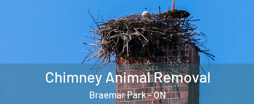 Chimney Animal Removal Braemar Park - ON