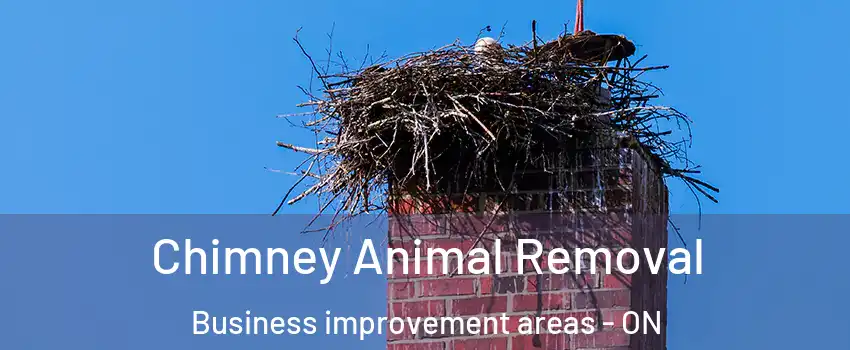 Chimney Animal Removal Business improvement areas - ON