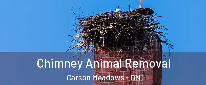 Chimney Animal Removal Carson Meadows - ON