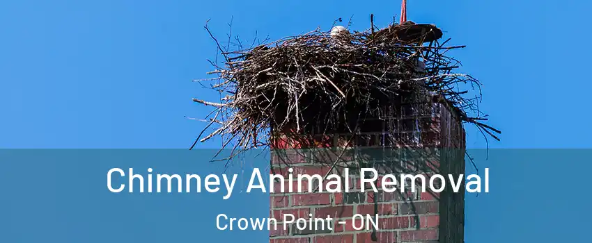 Chimney Animal Removal Crown Point - ON