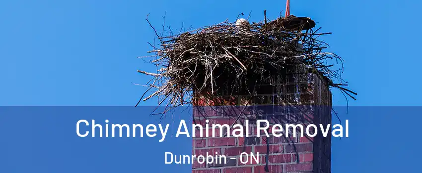 Chimney Animal Removal Dunrobin - ON