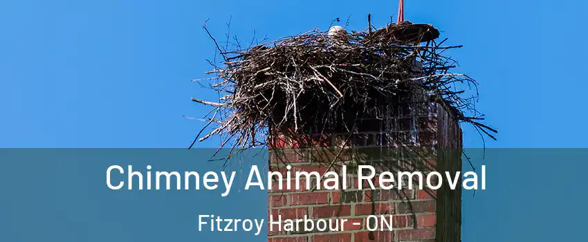 Chimney Animal Removal Fitzroy Harbour - ON