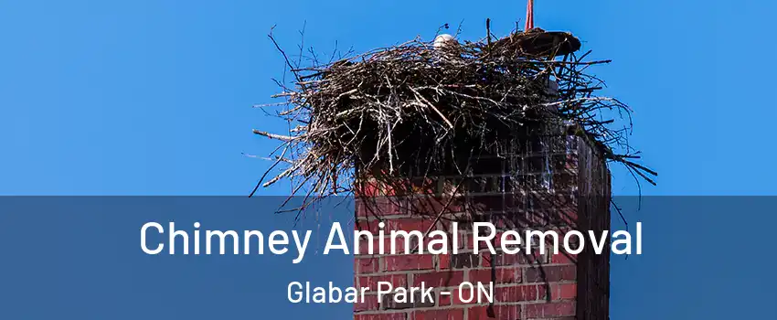 Chimney Animal Removal Glabar Park - ON