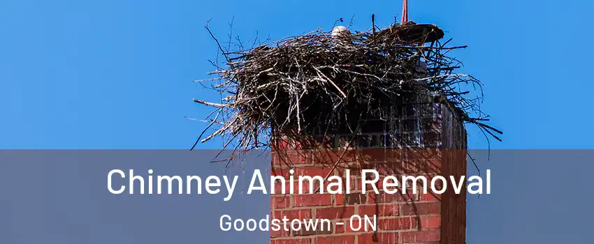 Chimney Animal Removal Goodstown - ON