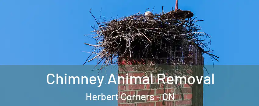 Chimney Animal Removal Herbert Corners - ON