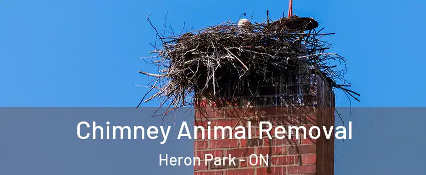 Chimney Animal Removal Heron Park - ON