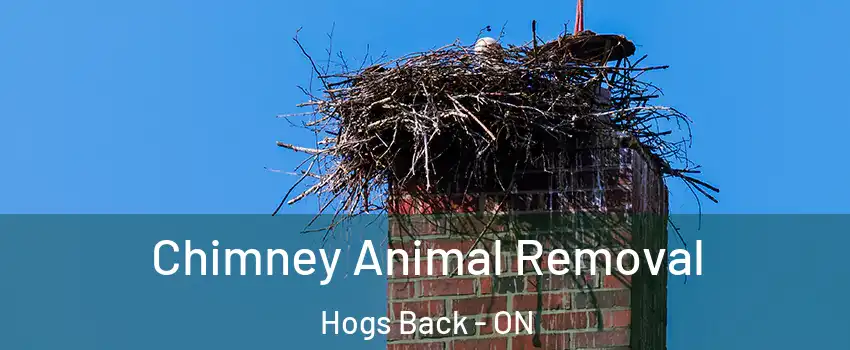 Chimney Animal Removal Hogs Back - ON