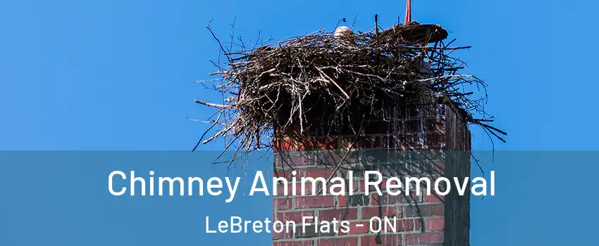 Chimney Animal Removal LeBreton Flats - ON