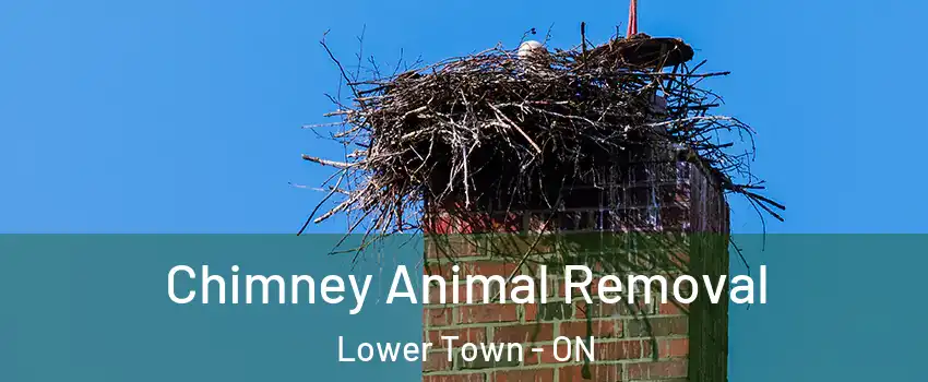 Chimney Animal Removal Lower Town - ON