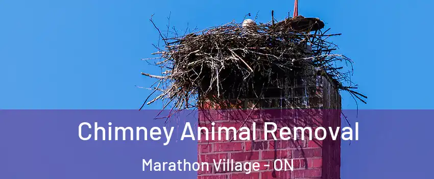 Chimney Animal Removal Marathon Village - ON