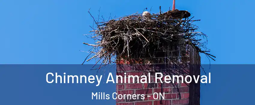 Chimney Animal Removal Mills Corners - ON