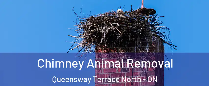 Chimney Animal Removal Queensway Terrace North - ON