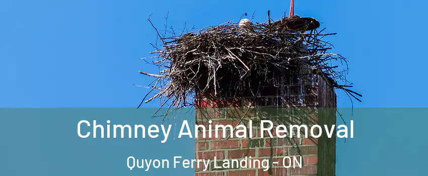 Chimney Animal Removal Quyon Ferry Landing - ON