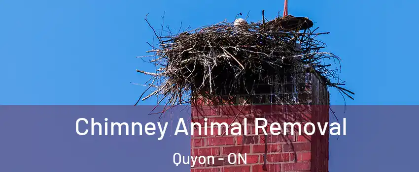 Chimney Animal Removal Quyon - ON