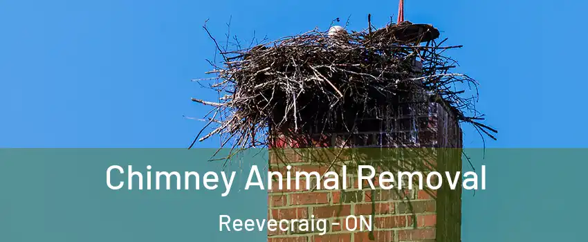 Chimney Animal Removal Reevecraig - ON