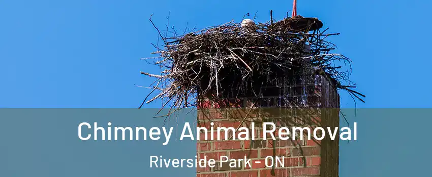 Chimney Animal Removal Riverside Park - ON