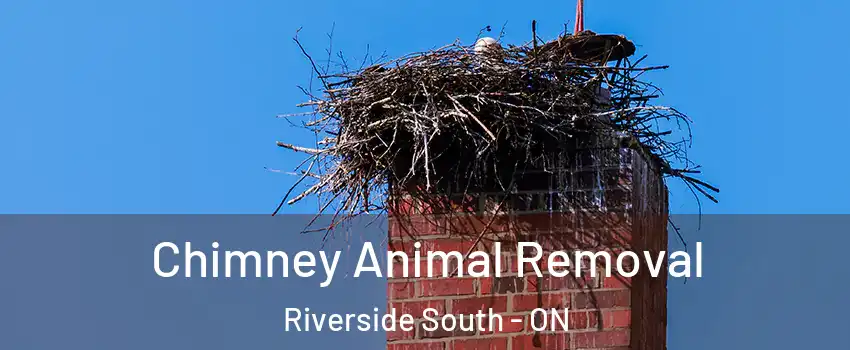 Chimney Animal Removal Riverside South - ON