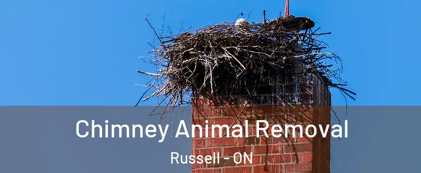 Chimney Animal Removal Russell - ON