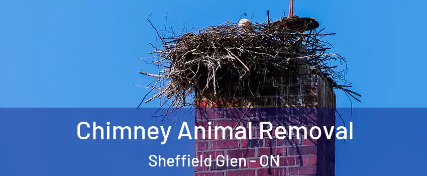 Chimney Animal Removal Sheffield Glen - ON
