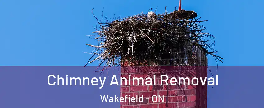 Chimney Animal Removal Wakefield - ON
