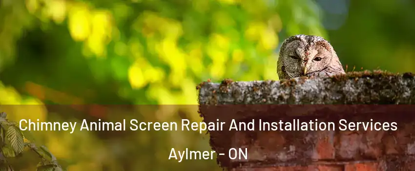  Chimney Animal Screen Repair And Installation Services Aylmer - ON