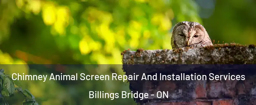  Chimney Animal Screen Repair And Installation Services Billings Bridge - ON