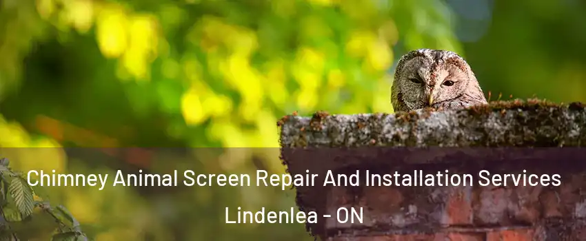  Chimney Animal Screen Repair And Installation Services Lindenlea - ON