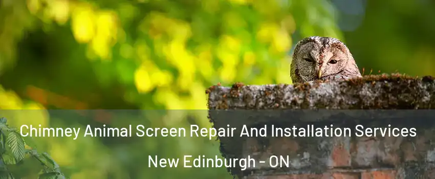 Chimney Animal Screen Repair And Installation Services New Edinburgh - ON