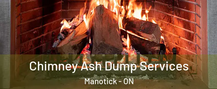  Chimney Ash Dump Services Manotick - ON