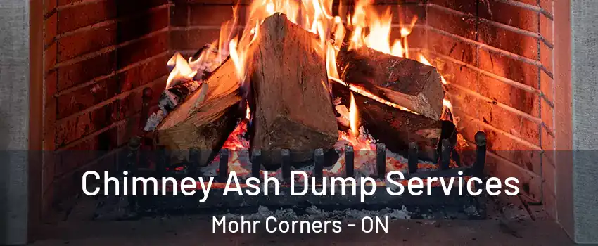  Chimney Ash Dump Services Mohr Corners - ON