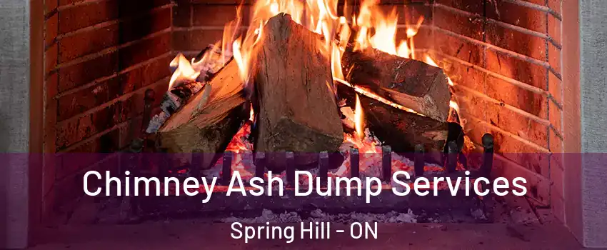  Chimney Ash Dump Services Spring Hill - ON