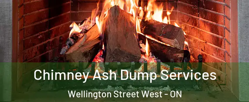  Chimney Ash Dump Services Wellington Street West - ON