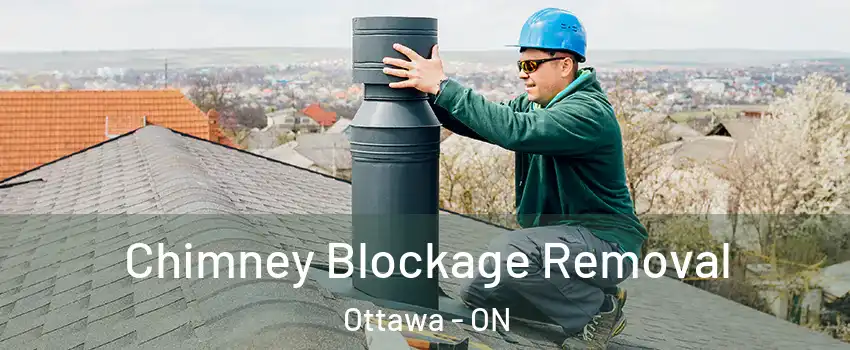  Chimney Blockage Removal Ottawa - ON