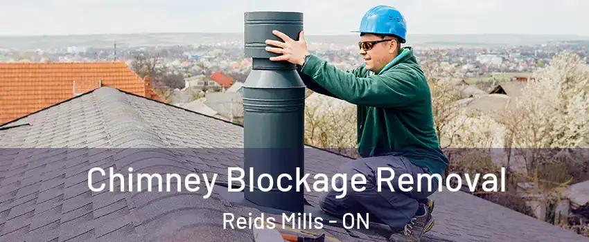  Chimney Blockage Removal Reids Mills - ON
