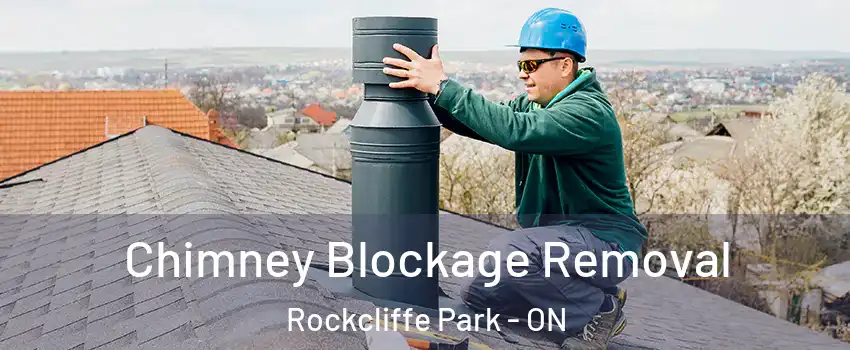  Chimney Blockage Removal Rockcliffe Park - ON