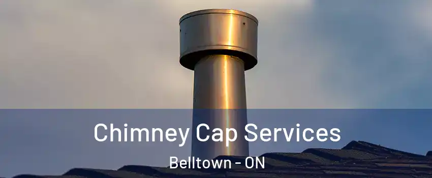  Chimney Cap Services Belltown - ON