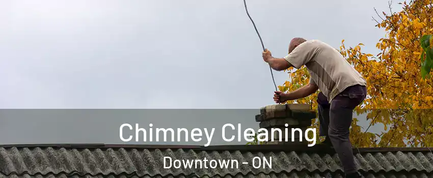  Chimney Cleaning Downtown - ON