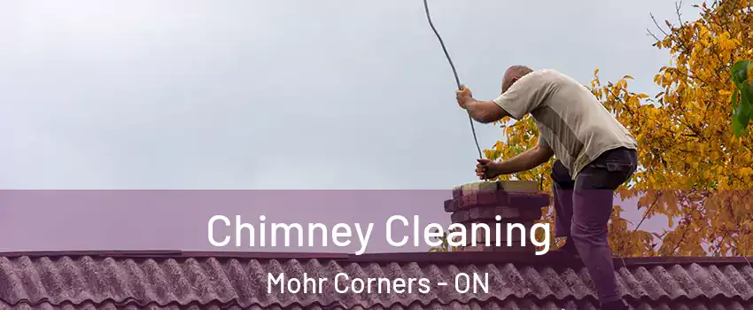  Chimney Cleaning Mohr Corners - ON
