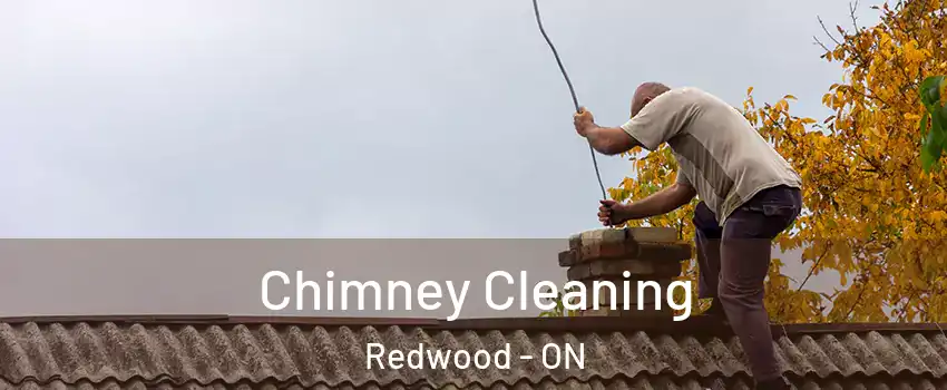  Chimney Cleaning Redwood - ON