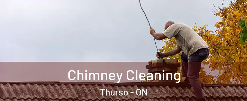  Chimney Cleaning Thurso - ON