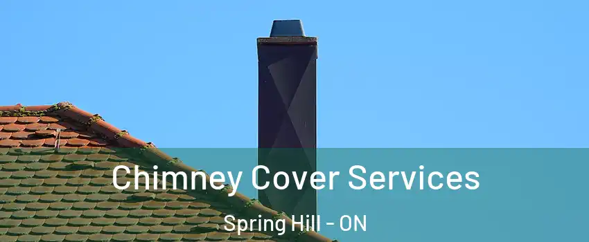  Chimney Cover Services Spring Hill - ON