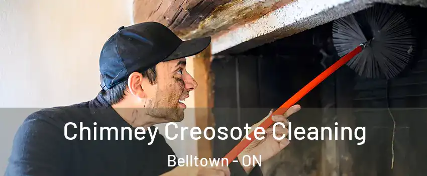  Chimney Creosote Cleaning Belltown - ON