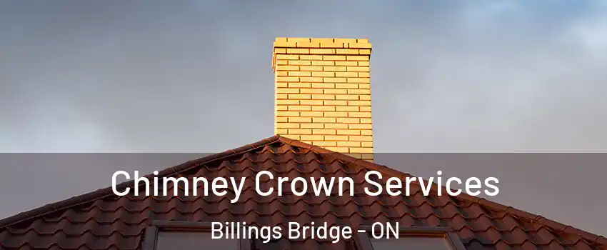 Chimney Crown Services Billings Bridge - ON
