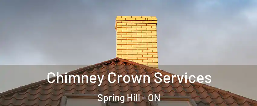 Chimney Crown Services Spring Hill - ON