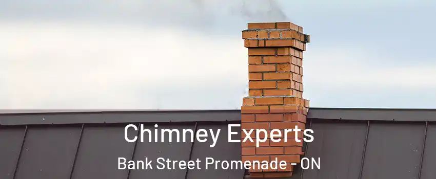 Chimney Experts Bank Street Promenade - ON