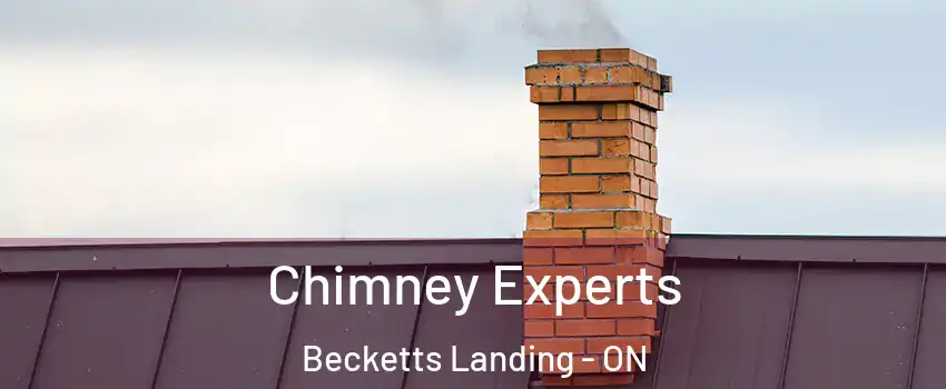 Chimney Experts Becketts Landing - ON