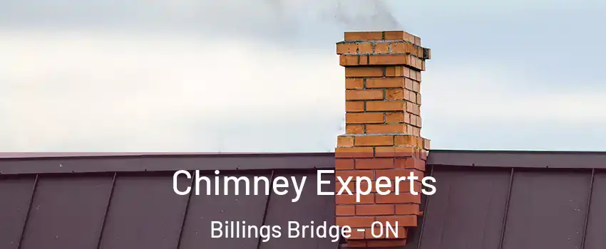 Chimney Experts Billings Bridge - ON