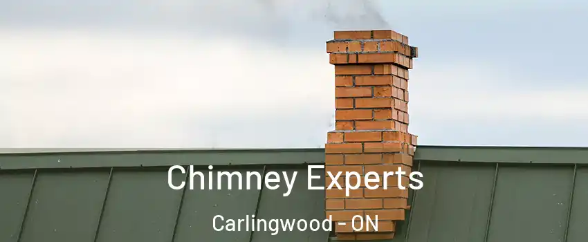 Chimney Experts Carlingwood - ON